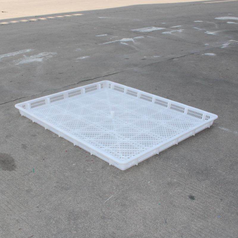 1000*800塑料烘干盘HDPE冷冻盘冰盘透气性单冻器网格塑胶盘厂家