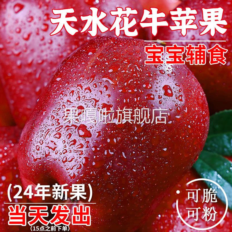 正宗甘肃天水花牛苹果新鲜水果现摘当季整箱红蛇粉面平果糖心丑果