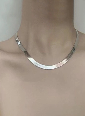 小众设计金属宽扁蛇骨链项链女