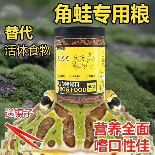 角蛙粮食绿角黄金霸王蝴蝶钟角