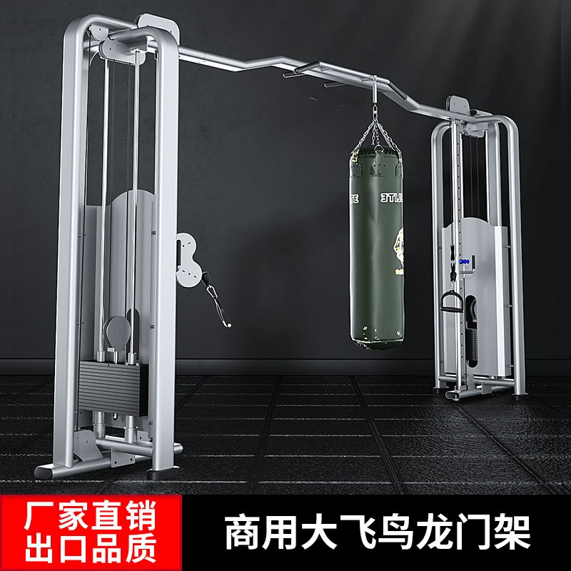 大飞鸟训练器 龙门架商用综合多A功能力量器械 健身器材健身房专