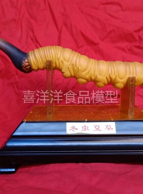 35厘米长虫草摆件虫草陈列摆件橱窗展示工艺品开业馈赠礼品