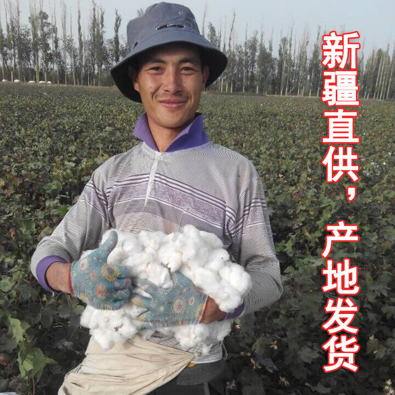 3斤-7斤 新疆阿克苏棉花被被芯网套被子褥子棉被长绒棉被棉胎定制