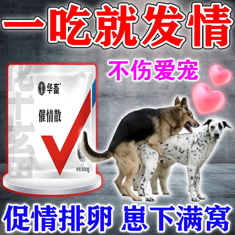 母狗发情剂配种的药粉交配神器专攻狗兽用促情排卵增加产仔