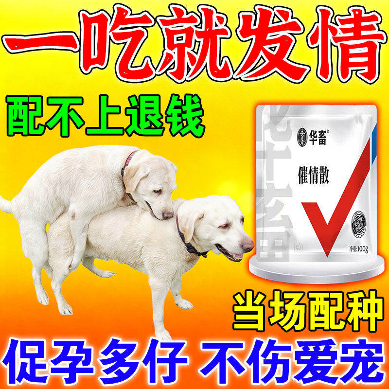 母狗发情剂配种的药粉交配神器专攻狗兽用促情排卵增加产仔
