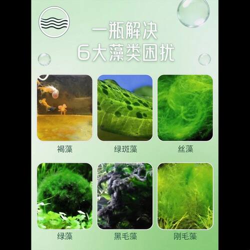 鱼缸除藻片剂去苔净青苔清除剂褐藻绿水藻去水草不伤鱼专用净化片
