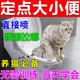 猫咪上厕所诱导剂猫大小便防猫乱尿定点排便引导剂宠物防乱拉屎