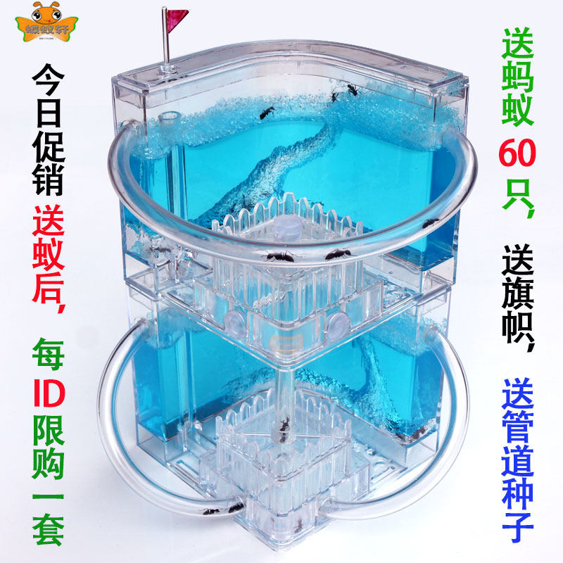 双层蚂蚁庄园蚂蚁工坊生态沙巢别墅蚂蚁生态箱农场送蚁后玩具礼物