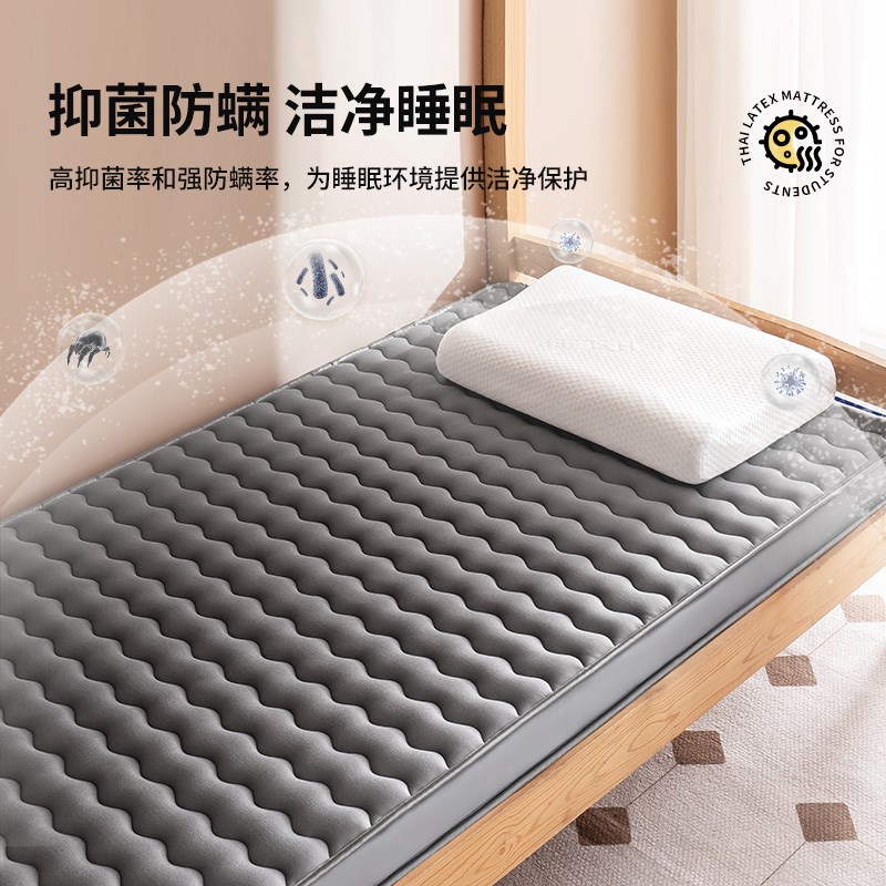 乳胶床垫软垫家用宿舍学生单人租房地铺睡垫记忆棉海绵垫褥子