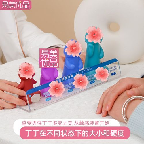 男性丁丁软硬大小程度科普模型一触究竟医学科普性W功能辅助用具