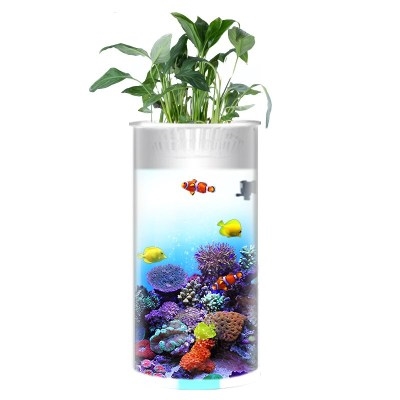 圆柱小鱼缸水族箱家用小型免换水生态H缸超白玻璃办公室桌面鱼缸