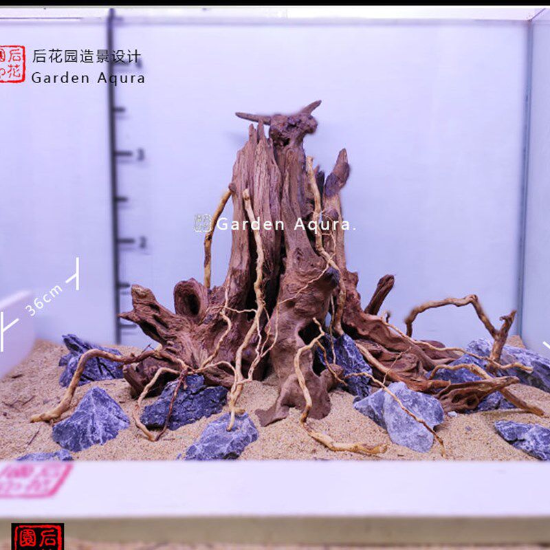 生命之树 沉木造景定制 沉木 草缸 造景沉木 草缸 后花园水族