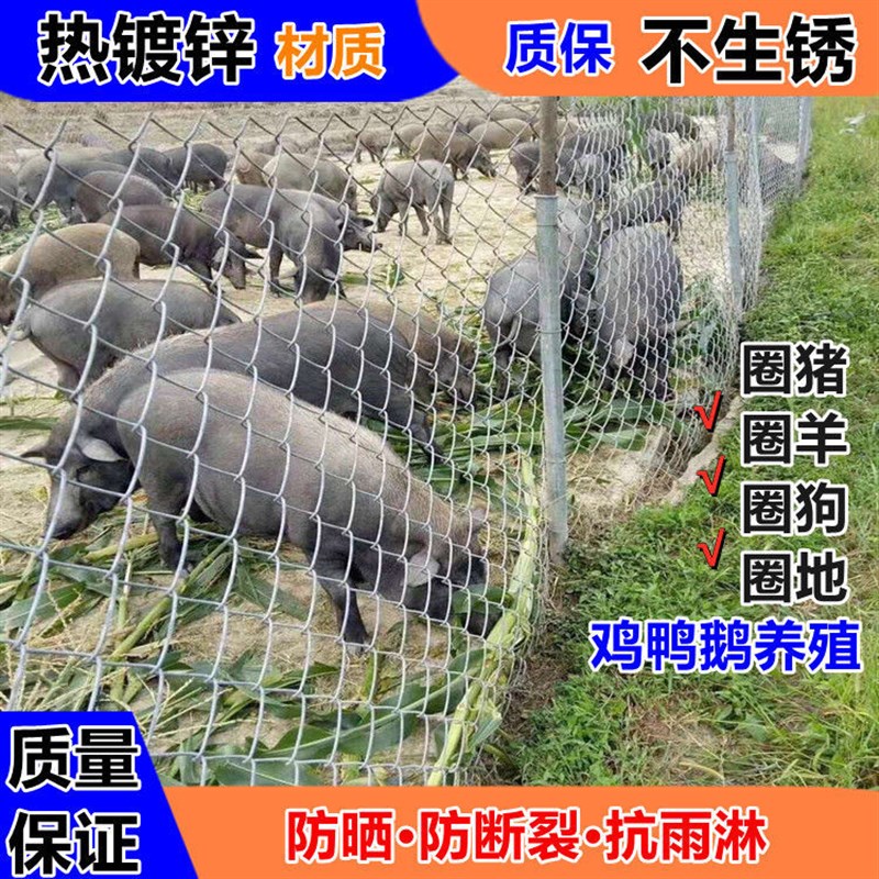 镀锌铁丝网钢丝围栏养猪牛羊勾花D网鸡鸭狗养殖网鱼塘果园防护