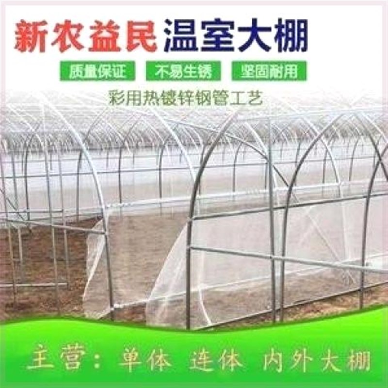大棚骨架温室大棚蔬菜大棚种植y大棚养殖大棚椭圆管大棚连栋棚暖