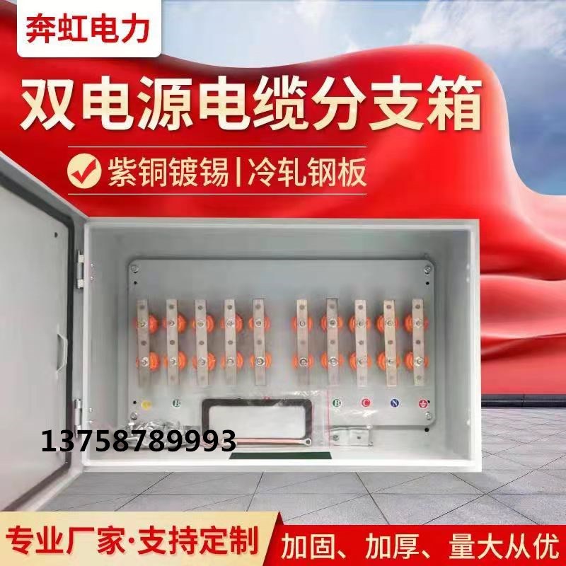 矿物质电缆铜排分支箱双电源箱楼层分接箱转换箱低压WT接箱转接箱