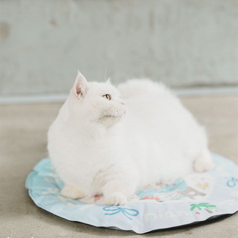 白猪商店 年糕宠物猫咪狗狗夏天睡觉用窝窝垫子凉垫降温凉席冰垫