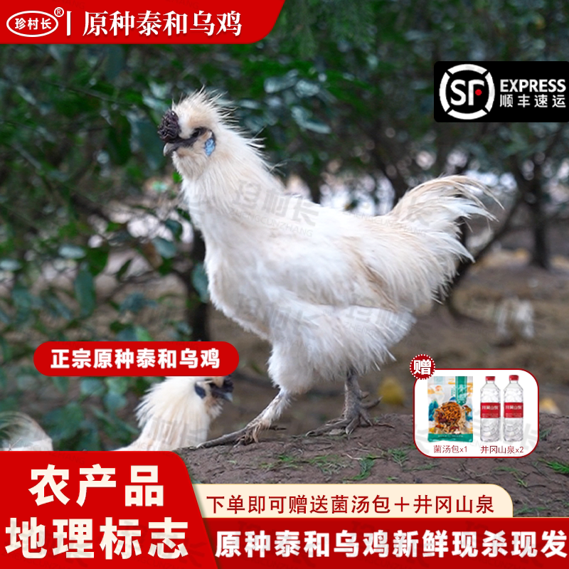 【产地直发】原种泰和乌鸡整只鲜