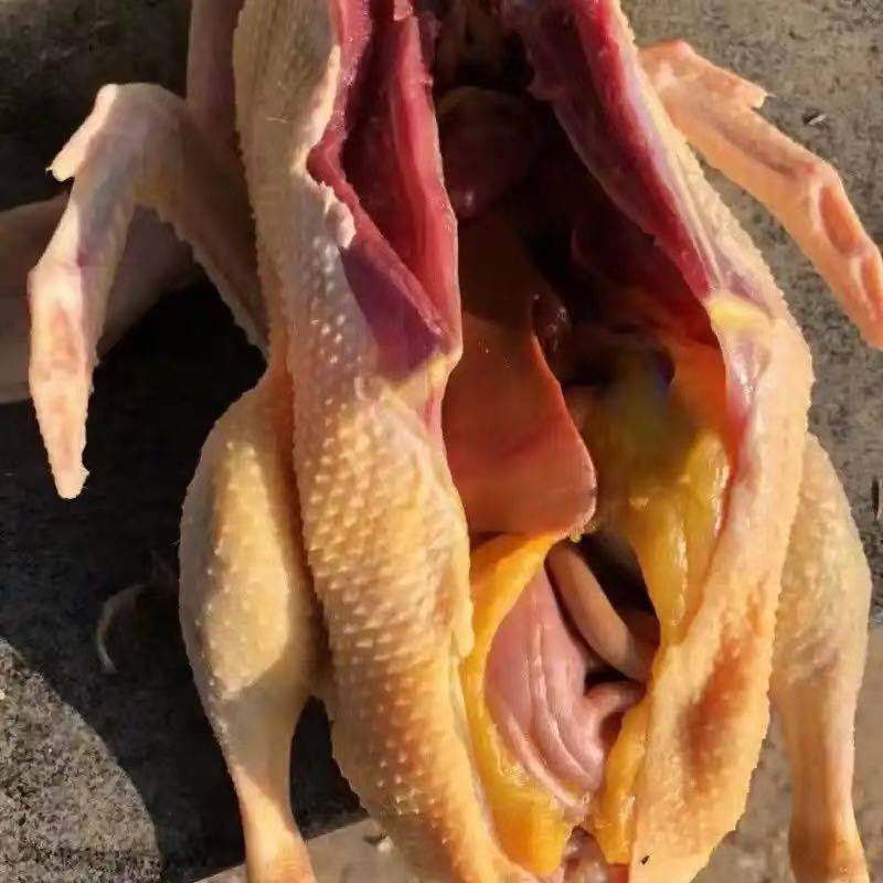 【大雁鹅肉】新鲜活杀整只带头脖掌翅净膛无内脏非东北笨大鹅散养,水产肉类/新鲜蔬果/熟食,鹅肉/鹅肉制品,淘宝优惠券,粉丝福利购,淘宝优惠卷