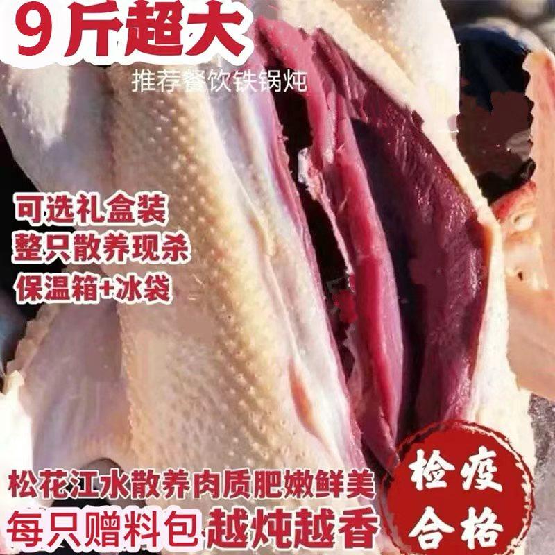 【整只带头爪翅】东北大雁鸭新鲜驰雁养殖非大鹅整只非雁鹅正宗,水产肉类/新鲜蔬果/熟食,鸭肉/鸭肉制品,淘宝优惠券,粉丝福利购,淘宝优惠卷