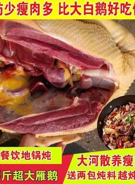 【整只大雁鹅】新鲜现杀大雁非大鹅整只大鹅鹅肉农家散养坏单包赔