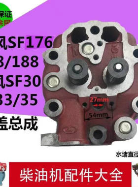 柴油机缸头缸盖总成气缸盖时风SF176/178/188/SF30/33/35
