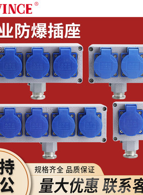 户外防爆插座200-250v双联10/16A三孔工业电源铸铝接线板插座盒