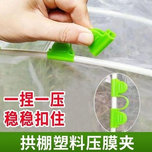 小棚夹压膜夹子园艺菜地薄膜夹压膜夹子小棚固定器保温棚农膜卡口