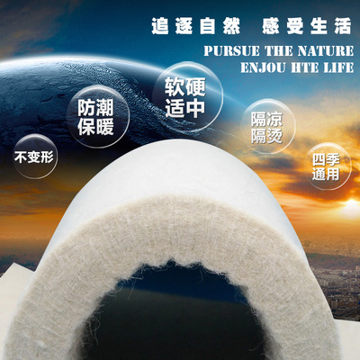 特高密度无味纯羊毛毡炕毡垫子家用学生保暖防潮火炕床毡子床垫