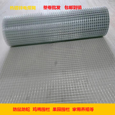 热镀锌电焊网铁丝网养殖网护栏网防鼠网家用铁丝网防护栏隔离钢丝