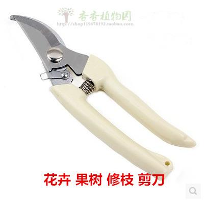 园艺用具 修剪花木 果树 花卉 修枝剪刀 园艺工具 花剪