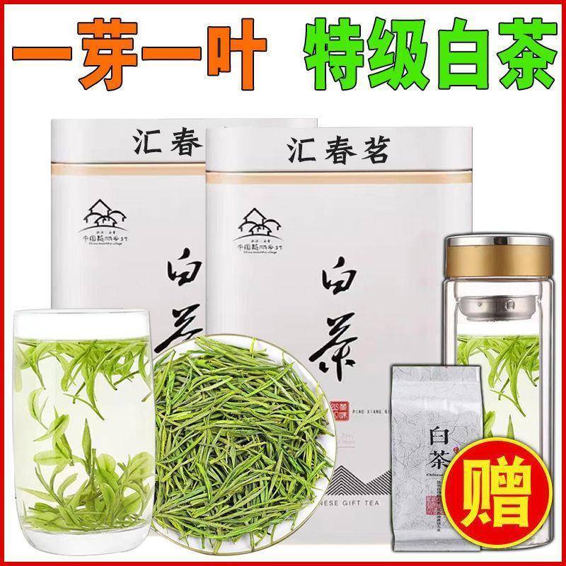 2025新茶 白茶【汇春茗】高山春茶雨前绿茶叶正宗白茶罐装礼盒