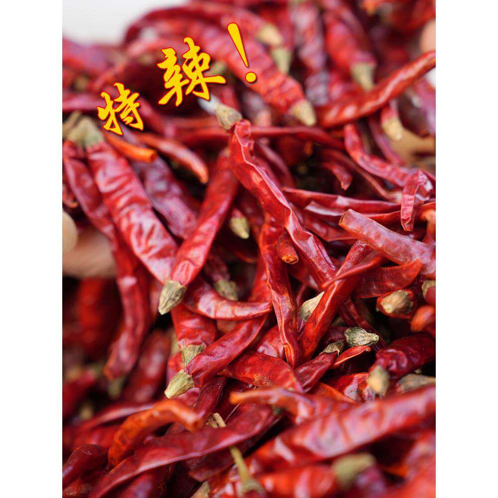 鬼椒面新货干辣椒特辣干辣椒猛辣超辣特辣特香变态辣辣椒面印度巨