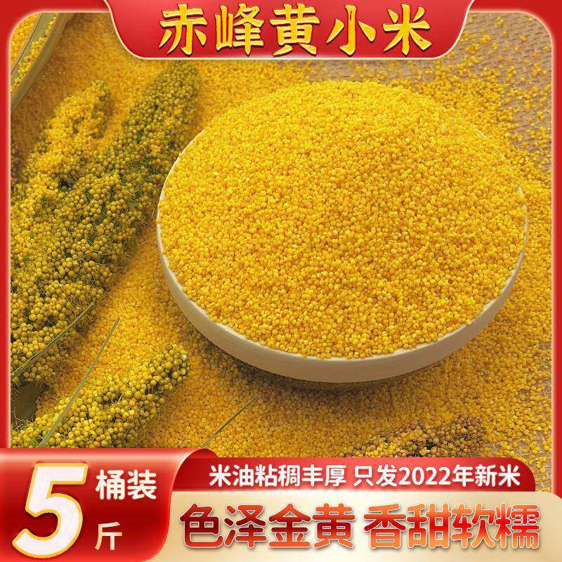 新黄小米杂粮5斤内蒙赤峰大金苗敖汉农家黄米饭黏糯米脂小米粥