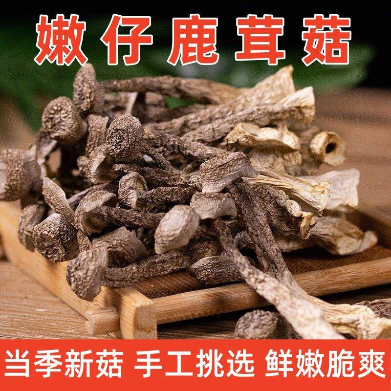 鲜香鹿茸菇干货当季食用菌干货鹿茸菇菌菇汤包产地直销新鲜干香菇