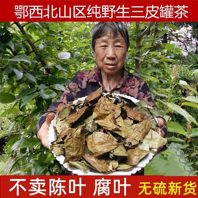 三皮罐茶叶湖北特产一皮罐凉茶大叶子茶一匹罐红茶大花海棠清火茶