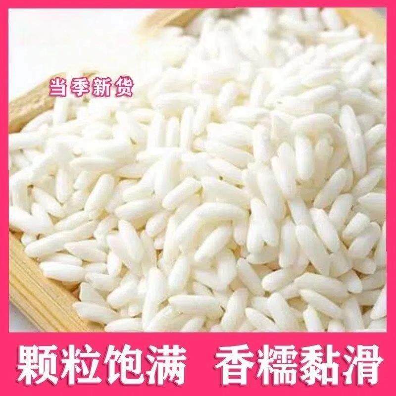 【当季新米】长糯米长江米新鲜散装 包粽子甜酒专用江米白糯米1斤