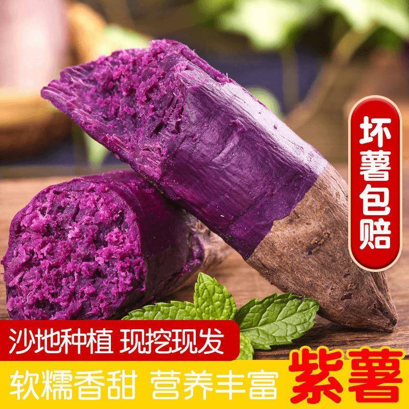正宗湖北襄阳紫罗兰紫薯新鲜番薯蜜薯板栗红薯沙地地瓜糖心山芋甜