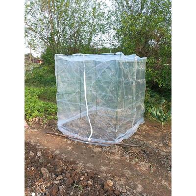 农业蚊帐型种菜防虫网专用网蔬菜防虫网菜田防鸟罩植物温室