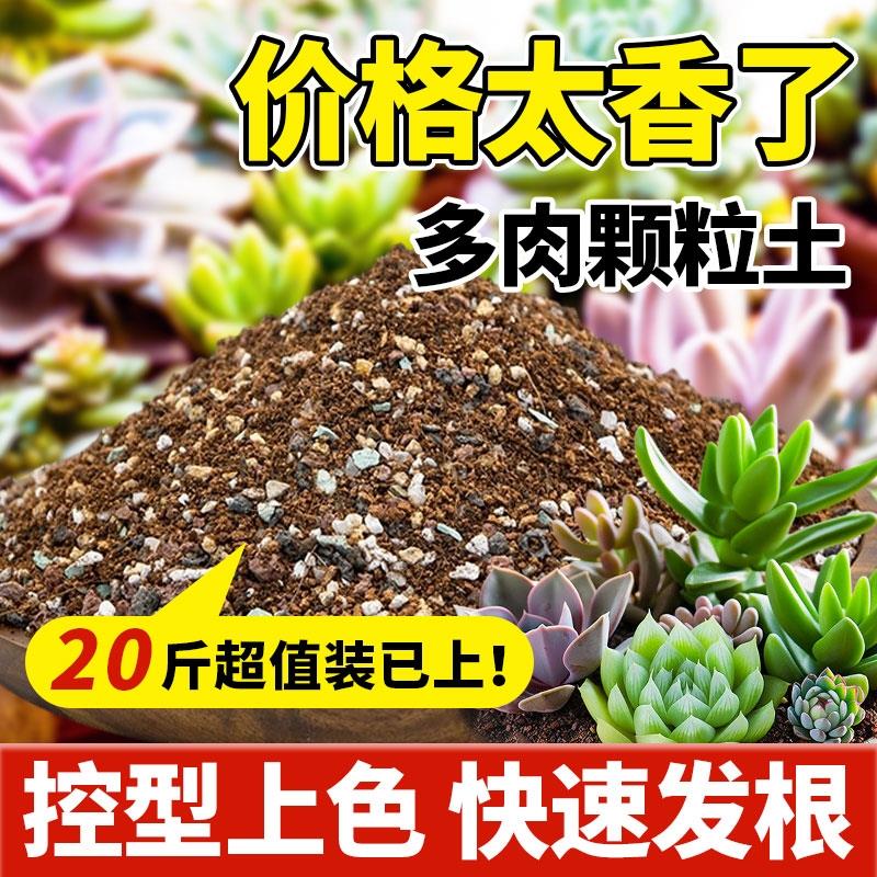 多肉专用颗粒土多肉营养土20斤大包土壤种植土泥铺面石纯颗粒花土