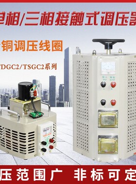 厂家单相380v交流接触式调压器220V可调0-250VTDGC2家用调压器