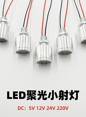 led微型小灯珠24V低压小射灯12V高亮5V聚光220V模型仪器设备照明
