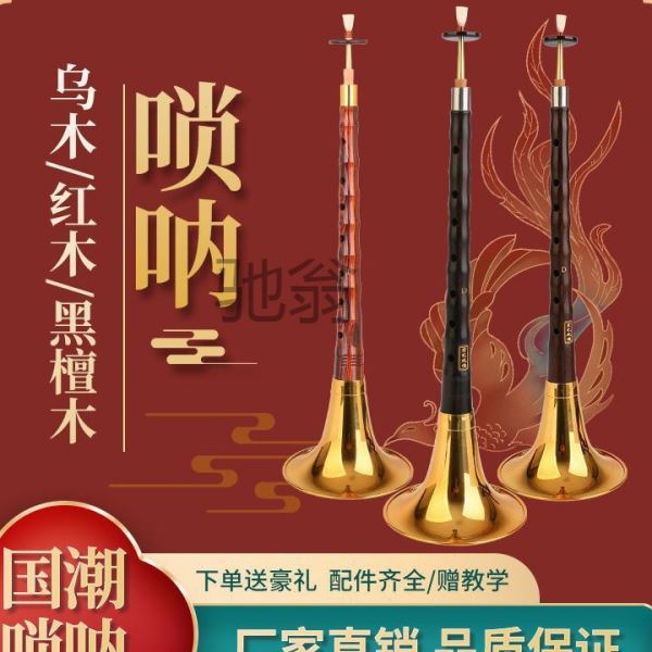 f1t演奏乌木黑檀木唢呐乐器全套初学者专业入门d调D调民族大小号