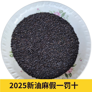 假一罚十纯油麻干净无沙免洗生黑芝麻无染色无添加农村自种3斤