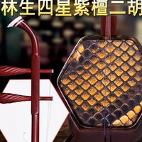 陸林生二胡四星紫檀二胡陸林生非洲小葉紫檀專業(yè)演奏二胡樂器