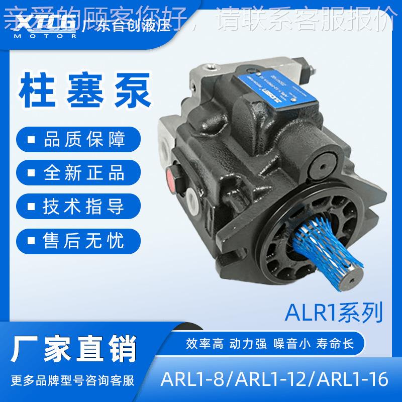 【厂家0直销ARL1系列柱塞泵AR程L1-12-FR01S-1/ARL1】-ICX8机械工