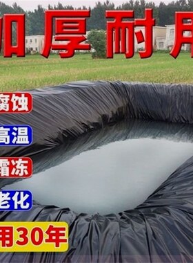 鱼塘防渗膜土工h膜防水布蓄水池藕池防渗水护坡防漏专用黑色塑料