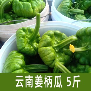 云南特色蔬菜新鲜姜柄瓜新鲜小麦瓜面南瓜小南瓜嫩姜饼瓜小瓜包邮