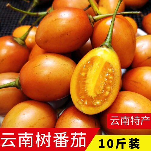 云南特产新鲜树番茄大洋番茄包邮