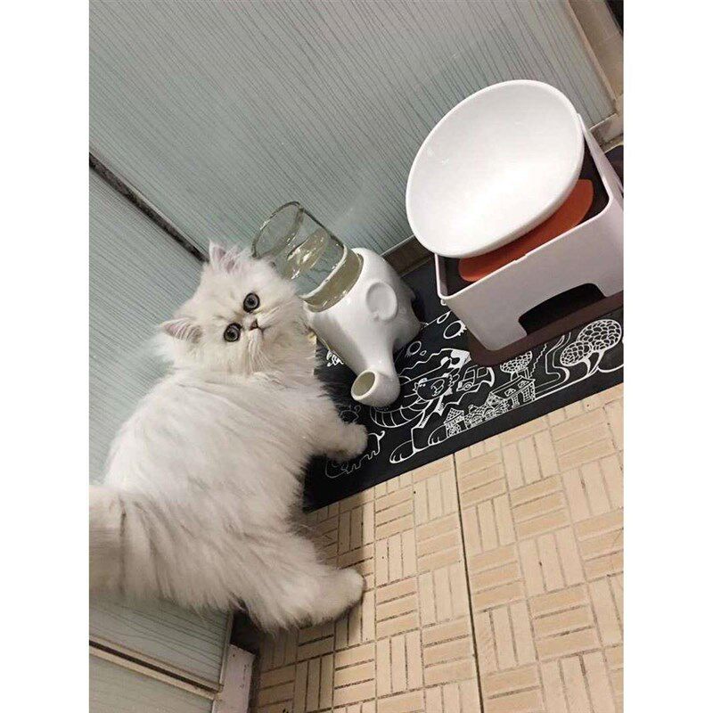 法狗碗专用碗狗食盆陶瓷猫物猫餐桌架子扁K宠脸碗斜口斗牛碗斗CZE