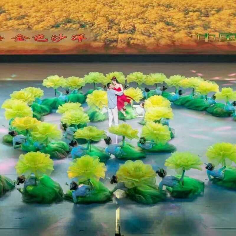 开场舞舞蹈道具手拿花跳舞表演手花牡丹H花伞演出道具花朵开场舞